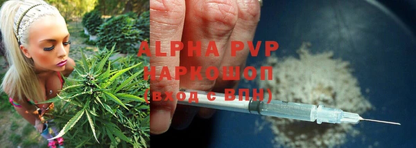 MESCALINE Нефтекумск