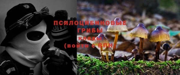 ешки Нея