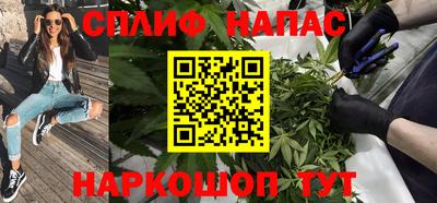 шишки Бузулук