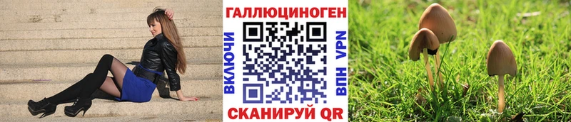 купить наркотик  Иркутск  Галлюциногенные грибы GOLDEN TEACHER 