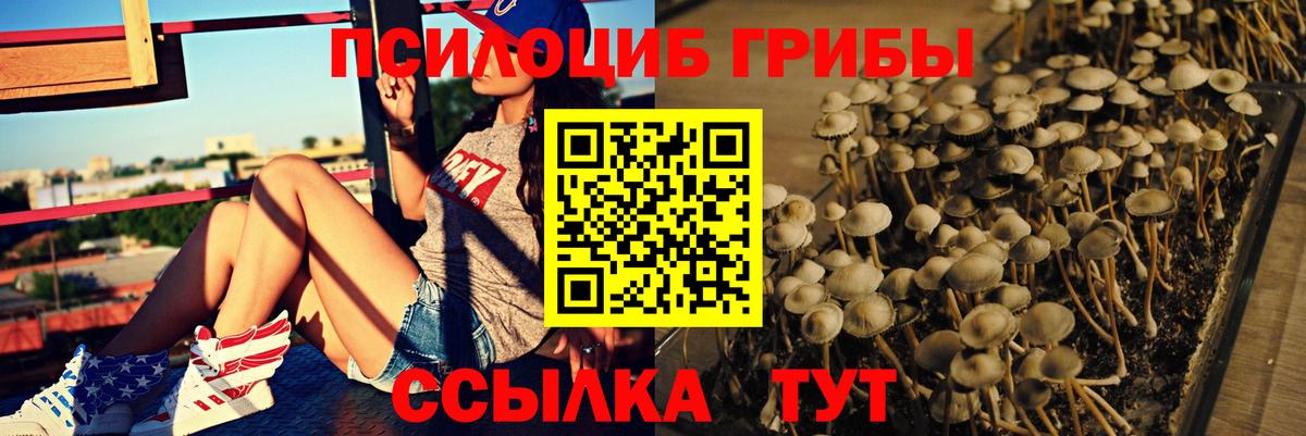Иркутск  Псилоцибиновые грибы мицелий  Вход с VPN 