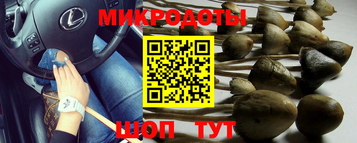 Галлюциногенные грибы Cubensis  Иркутск 