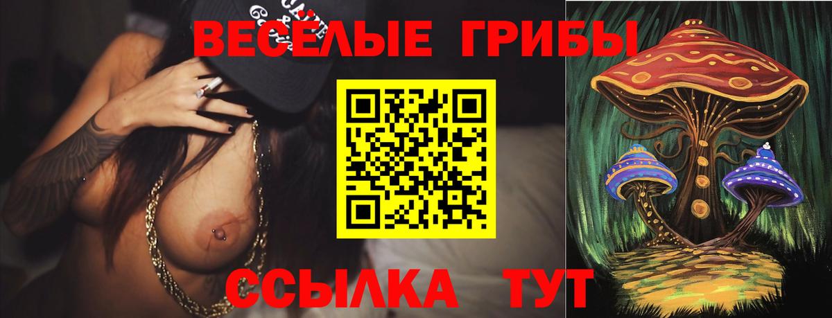 Галлюциногенные грибы GOLDEN TEACHER Иркутск